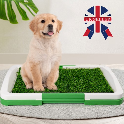 Large pet dog - dog, mat