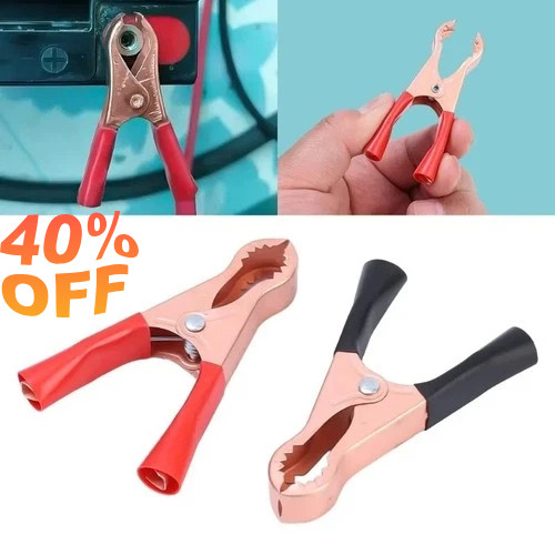 Crocodile clips alligator - crocodile,