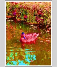 Down By The Riverbank A4 Print