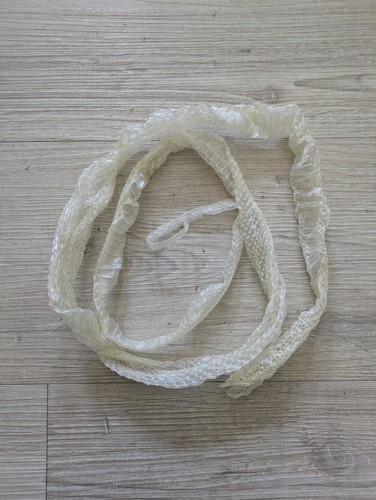 Corn snake shed - corn,