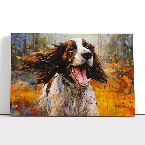 English springer spaniel - english,