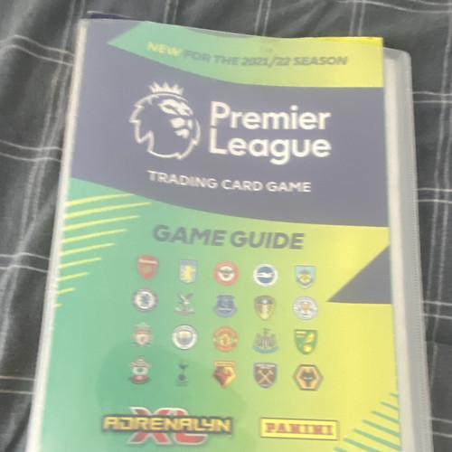 Panini adrenalyn premier - panini,