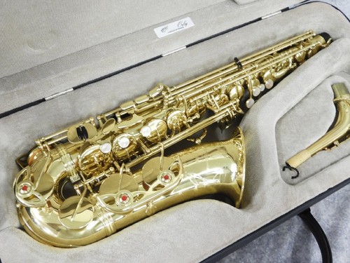 Yanagisawa 900μ alto - yanagisawa, a-900μ