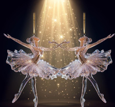 2D Sparkling Ballerina