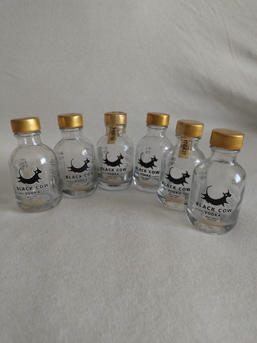 Empty miniature black cow - miniature,