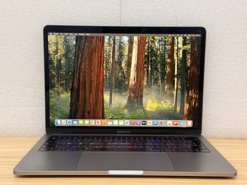 Apple macbook pro - apple, 13-inch