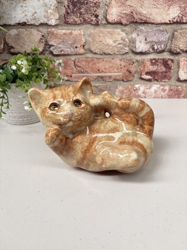 Winstanley ginger tabby - winstanley,