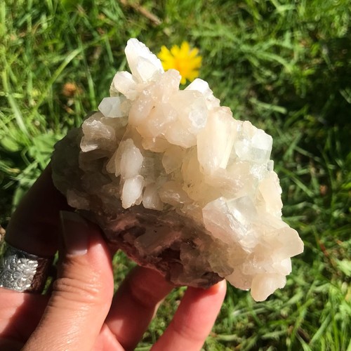 Stilbite apophyllite cluster - apophyllite,