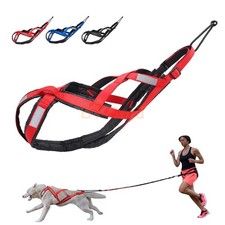 Sled Dog Harness Reflective