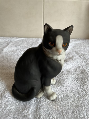 Rare harvey knoxx tuxedo cat - knoxx,