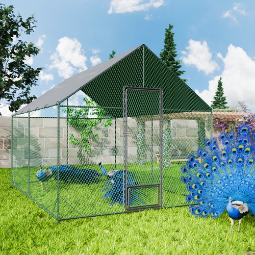Bingopaw roofed metal chicken - bingopaw,