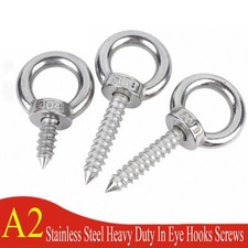 Heavy Duty In Eye Hooks Screws