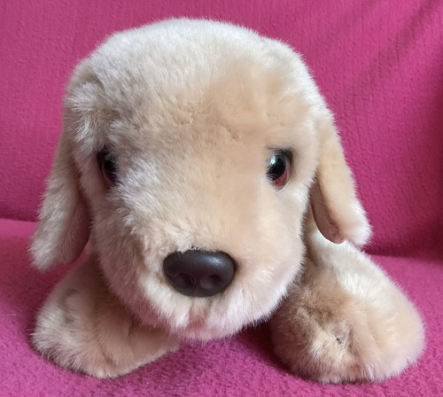 Keel cuddle puppies - puppies, golden