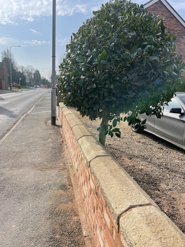 Wall coping - wall,