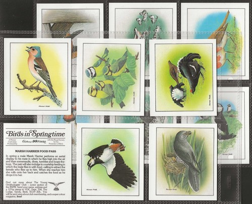 Cadbury full set birds - birds, in
