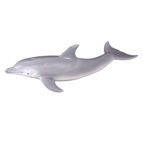 Collecta bottlenose dolphin - bottlenose,