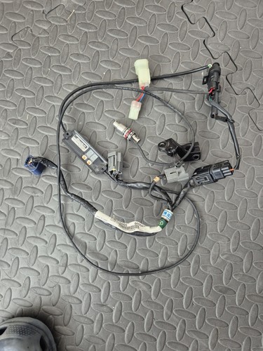 Woolich racing quickshifter - racing,