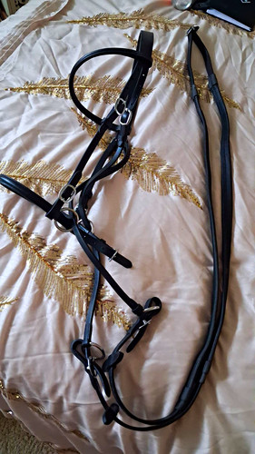 New black leather - black, bitless