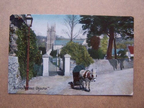 Donkey cart - donkey,