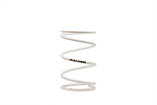 Malossi white torque spring - malossi,