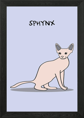 Sphynx cat race - cat, framed