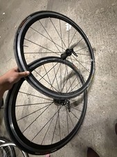 Colnago Carbon Hubs 50th