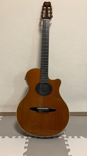 Yamaha apx 9na - yamaha, acoustic
