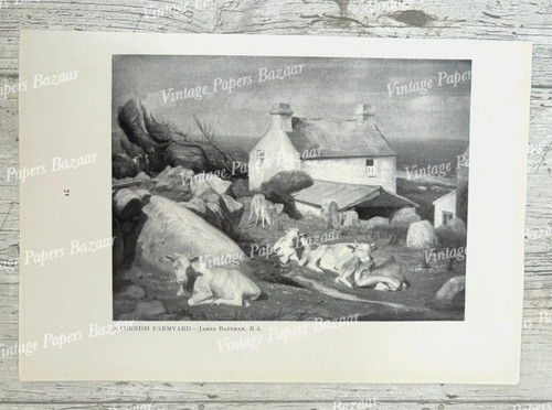 Cornish farmyard lord aberdare - farmyard,