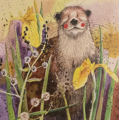 Alex clark card otter - otter, ~