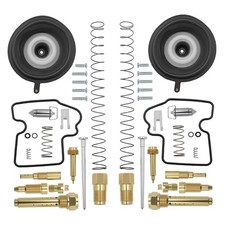 Carburetor Repair Kit Fits For