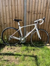 Giant carbon liv - giant, avail