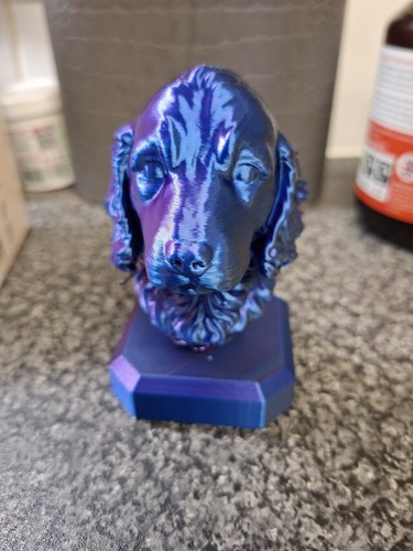 English cocker spaniel - english,