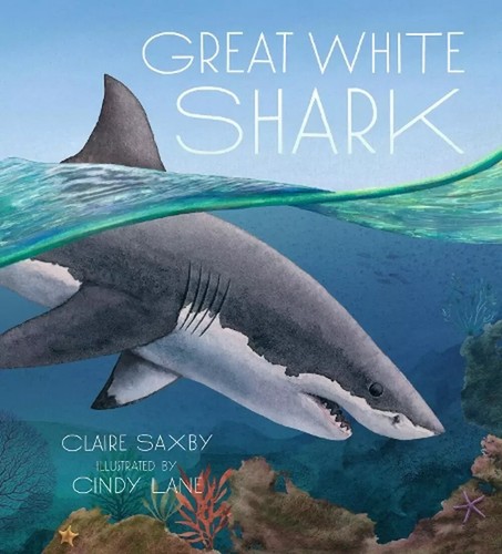 Great white shark - white,