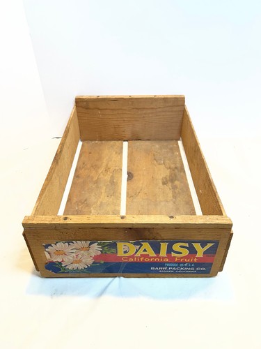 Vintage daisy fruit - vintage,