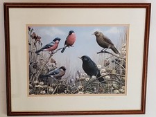 Known Wildlife Artist Mark Chester Birds Print Framed & Signed