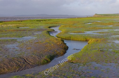 Photo 6x4 foreshore hest - 6x4, at