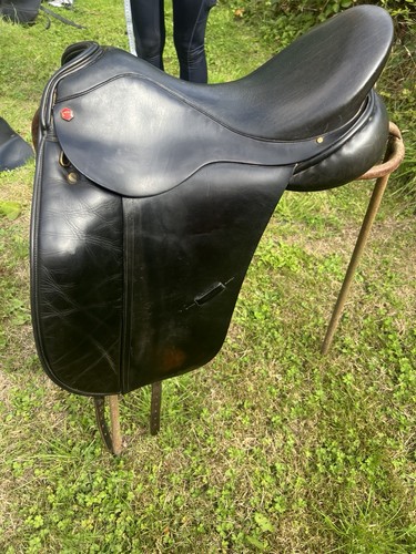 Albion dressage style - albion, ‘style’