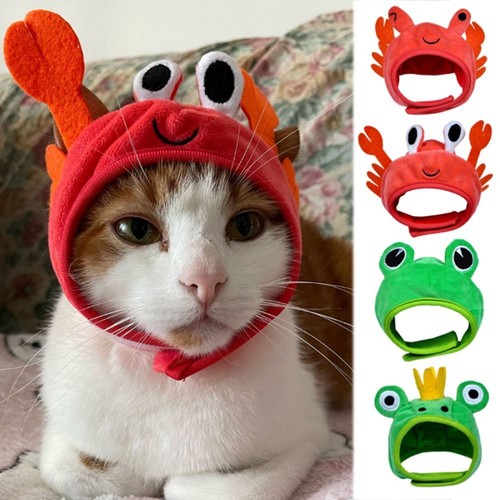 Pet costume crab - costume, lobster