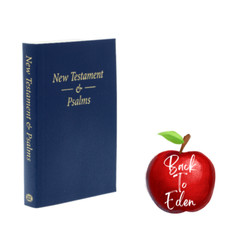KJV Pocket Bible New Testament