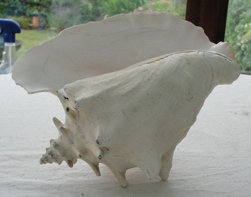 Rare huge vintage queen - vintage,