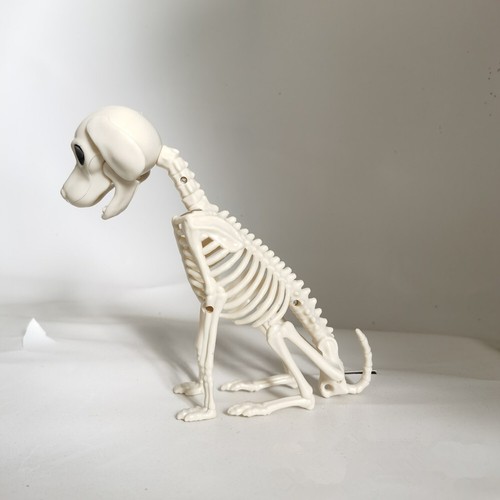 Halloween scary skeleton dog - halloween,