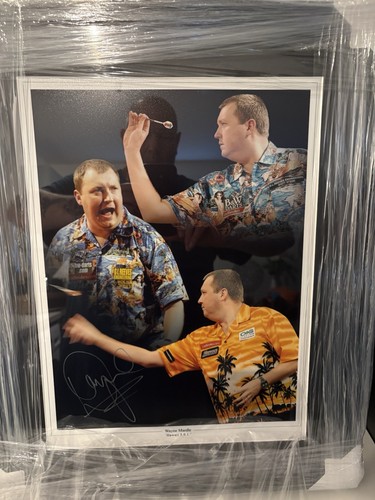 Large framed wayne - large,