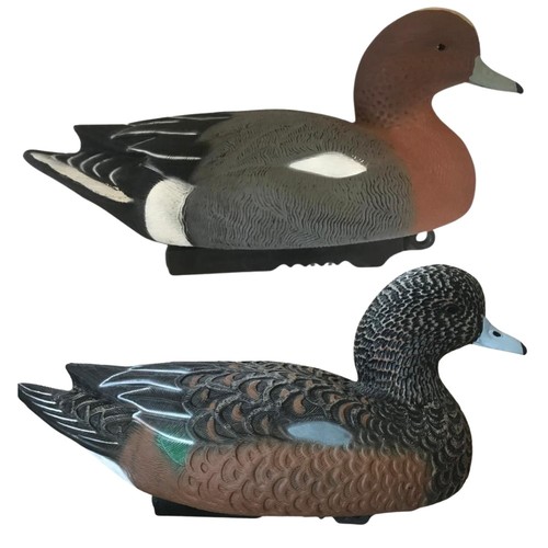Wigeon duck decoys - floating, hd