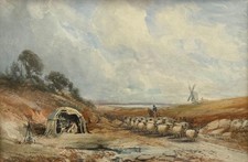 Shepherd Grazing His Sheep
