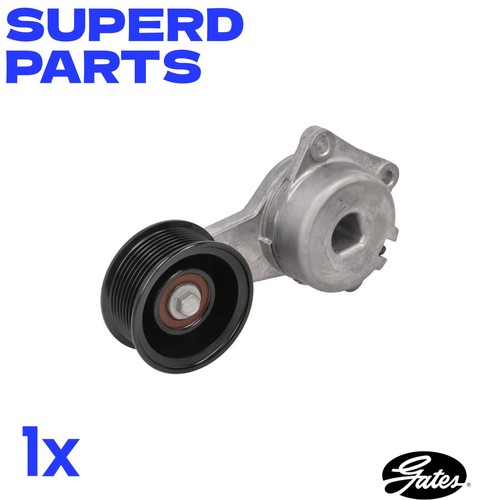 Multi belt tensioner fits - tensioner,