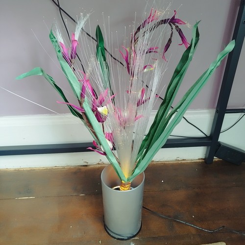 Fibre optic flower - optic, amaryllis