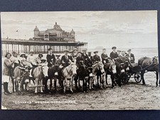 Weston Super Mare Donkeys