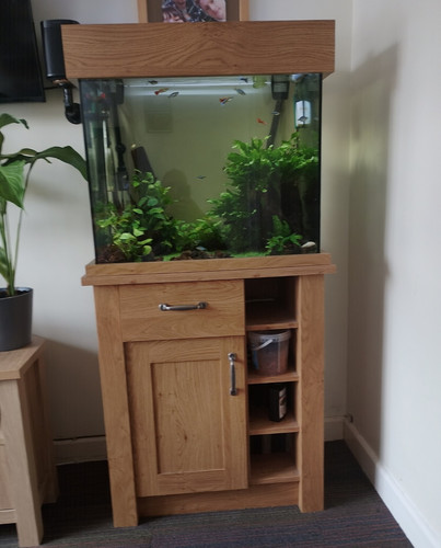 Fish tank aqua one - one,