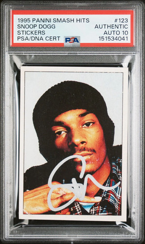 1995 panini smash hits - smash,