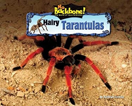 Hairy tarantulas library - hairy,